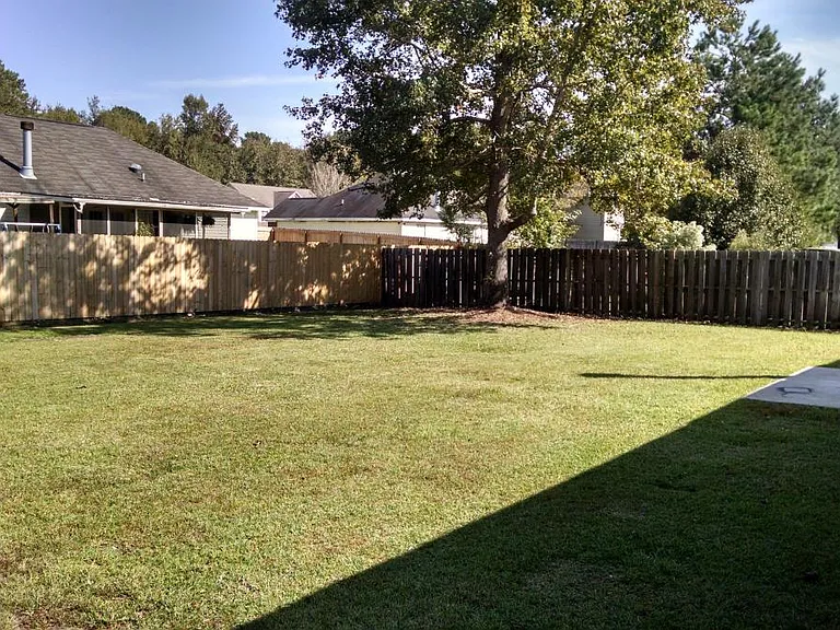 Back yard