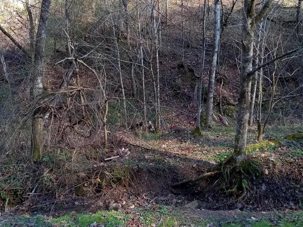 Crisp Rd, Marion, VA 24354