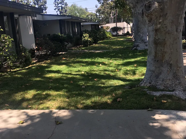 Bonita Terrace Apartments — Photo 10