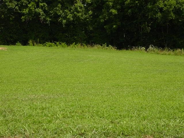2nd image of 228 E Winterberry Trl Lot 118