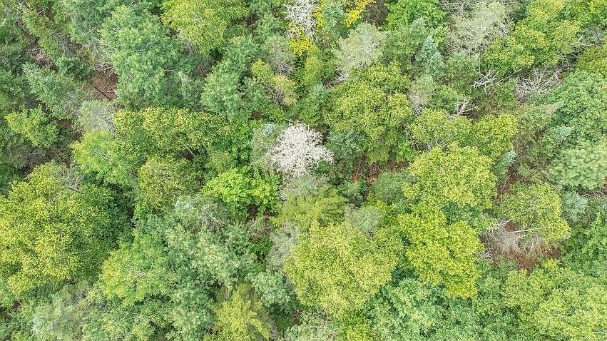 2nd image of 13 N Long Swamp Road