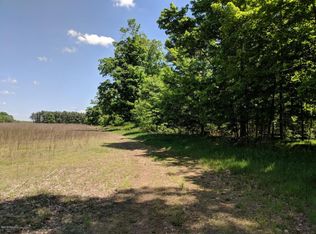 4380 S 154th Ave, Hesperia, MI 49421