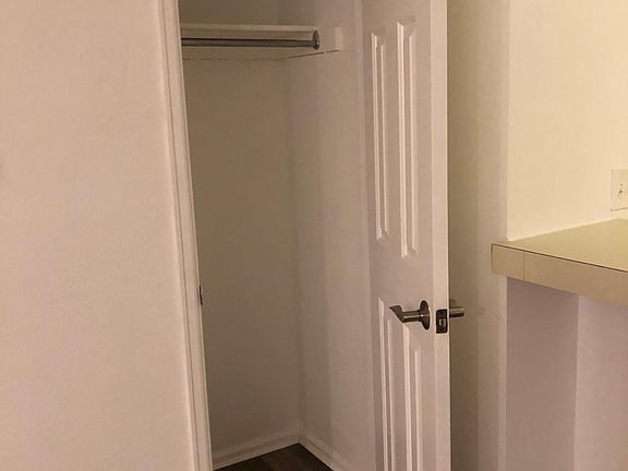 Closet in living room