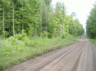 S Palmer Rd, Onaway, MI 49765