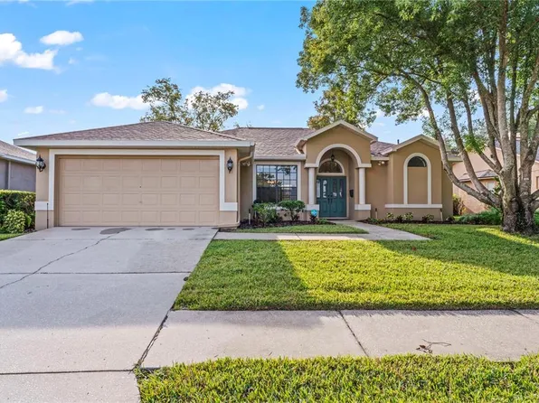 22630 Willow Lakes Dr, Lutz, FL 33549