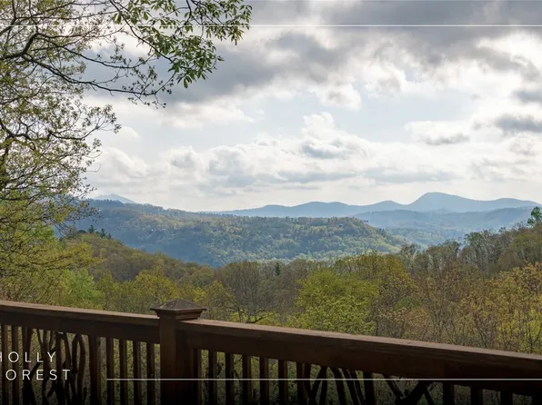 1725 Buckberry Drive, Sapphire, NC 28774