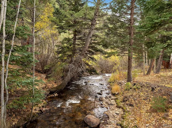 2971 Fall River Road, Idaho Springs, CO 80452