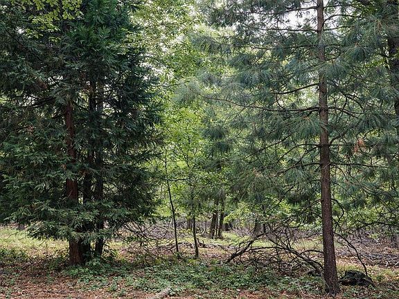 3rd image of Poplar Ct