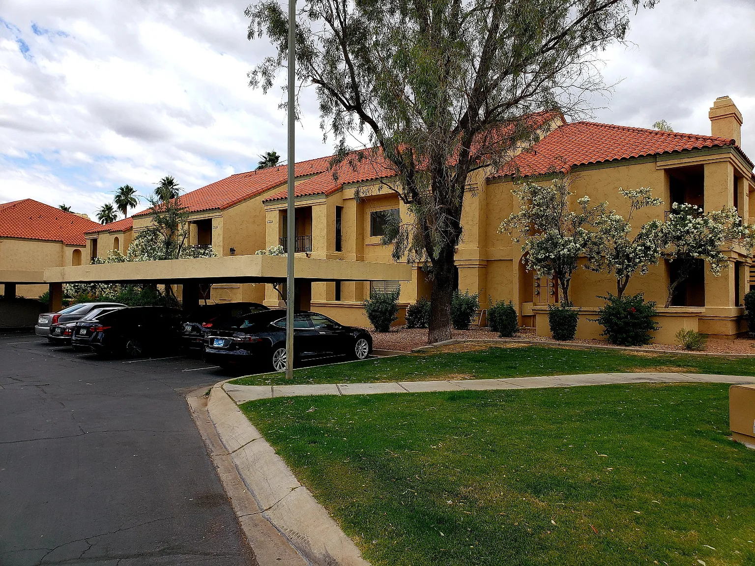 9708 E Via Linda — Photo 3