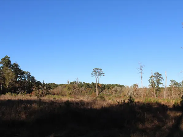 0 State Highway 150, Coldspring, TX 77331