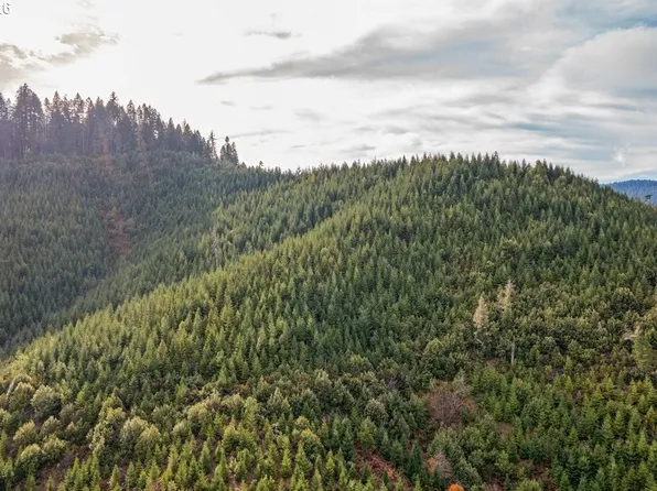 McMullen Creek Rd, Selma, OR 97538