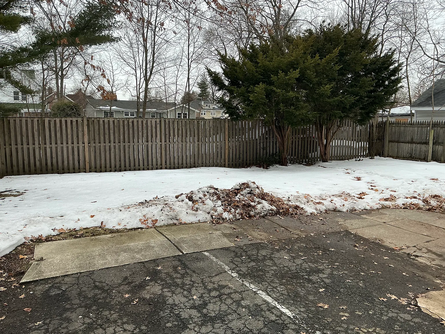 3 bed, $3,200 — Photo 4