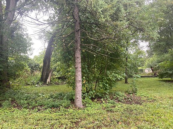 5th image of 504 Olesen Dr