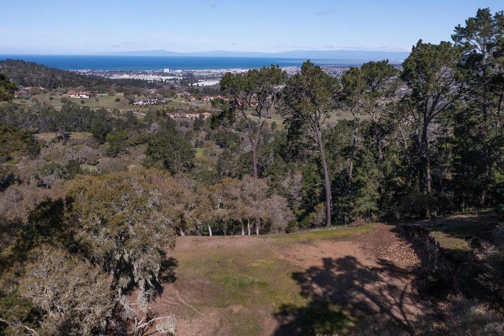 7855 Monterra Oaks Road 4