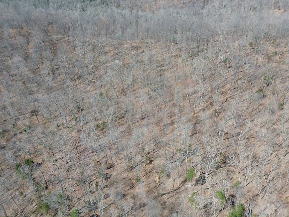 3rd image of 92A Riverside Benleo Rd