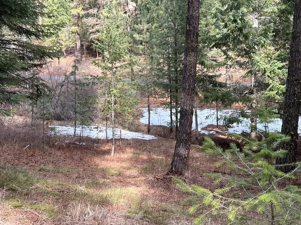 B14-L2 Yampa Ct, New Meadows, ID 83654