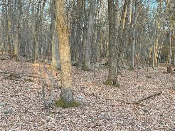 80 Spokane Rd, Albrightsville, PA 18210