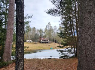 1122 N Perry Creek Rd, Mio, MI 48647