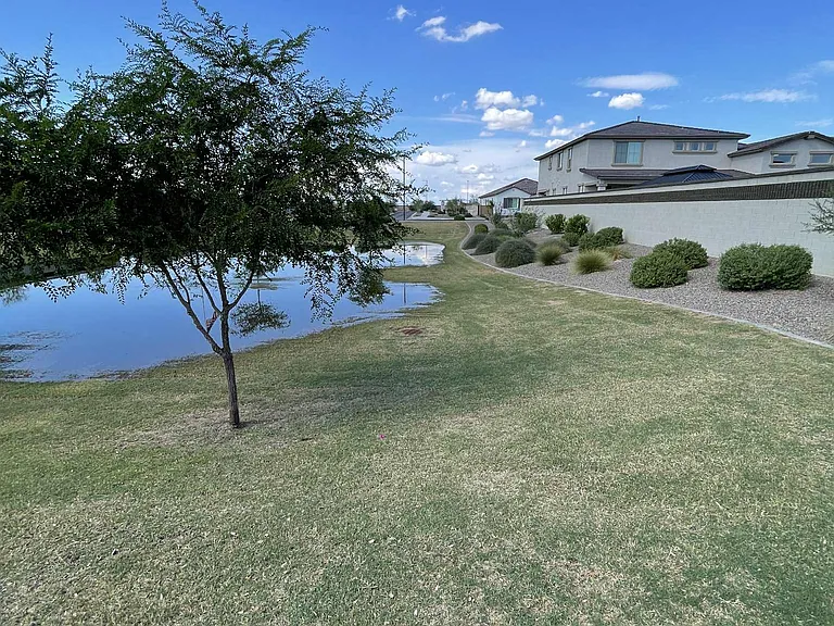 View of the back of the house from the park