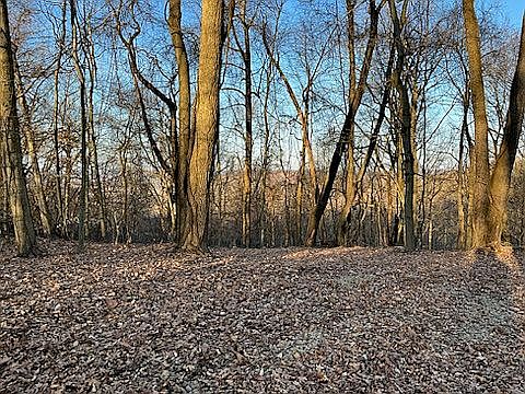 PICTURESQUE VIEW OUT BACK