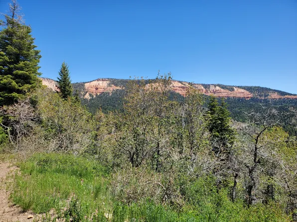 6 N Fork Ests, Duck Creek Village, UT 84762