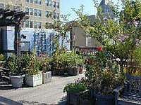 2nd image of 260 Broadway #11C