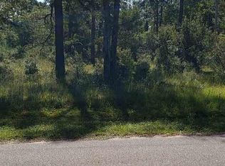 5363 Tweety Ave, Conway, SC 29527