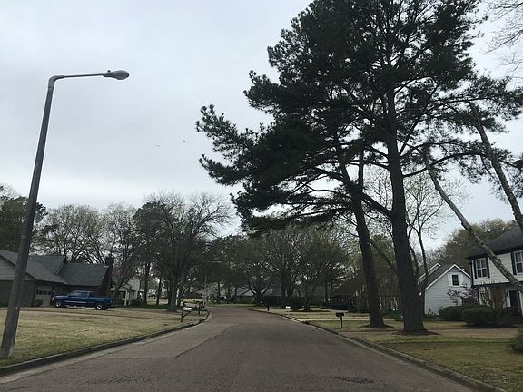 4th image of 8679 Pine Needle Dr