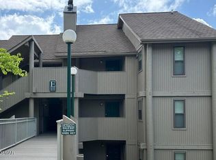 3710 Weber Rd #E307, Gatlinburg, TN 37738