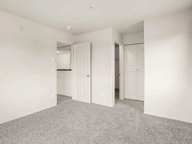 Baseline Woods — Photo 12