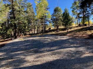 1714 Blacksmith Rd #1391, Hartsel, CO 80449