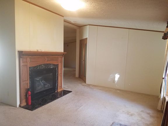 Living Room/  gas fire place