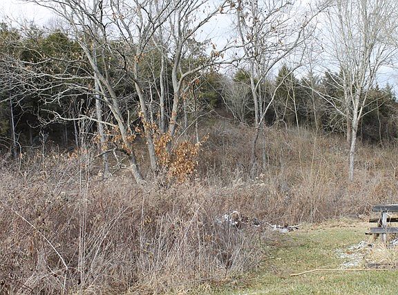 2nd image of 31472 Rivermont Dr