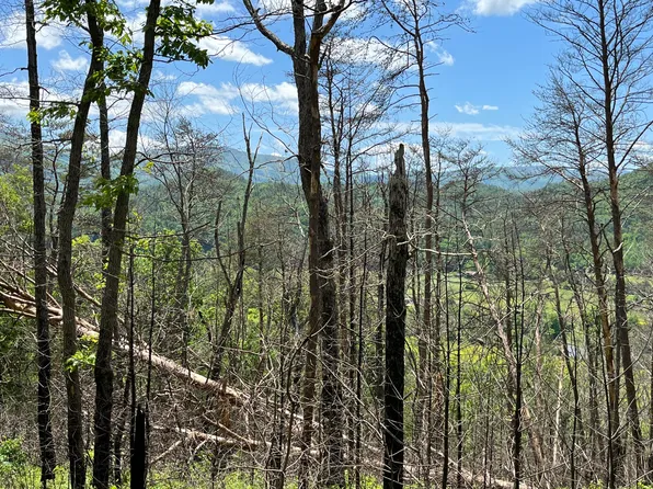 3520-7 Highway 25 #70, Del Rio, TN 37727