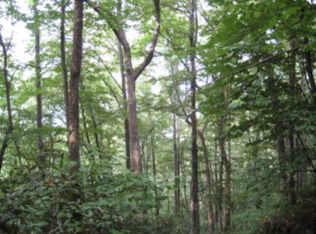 Vail Pass Rd, Whittier, NC 28789