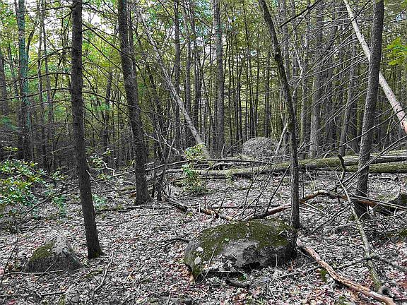 5th image of 65 Case Road