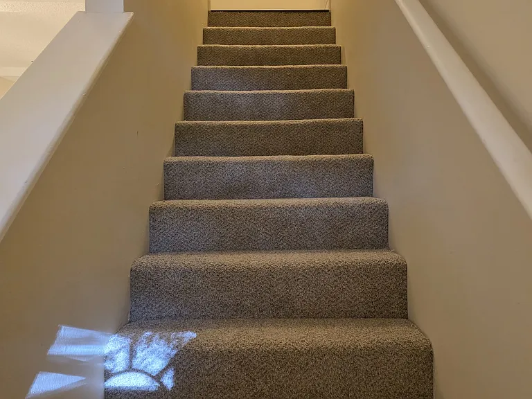 151 Garden Dr — Photo 7