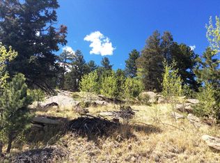 517 Valley Rd, Lake George, CO 80827