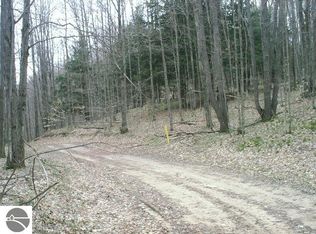 Off Of #M-66, Mancelona, MI 49659