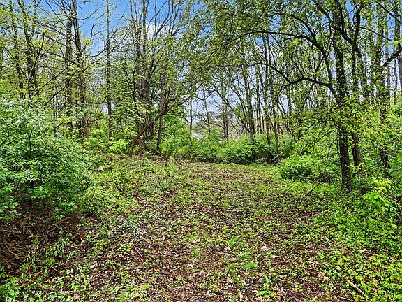 5th image of 9122 Richland Woods Dr
