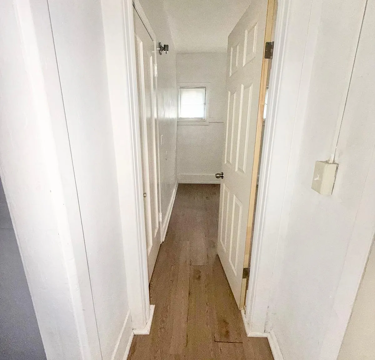 1703 Park Street - 2 — Photo 4