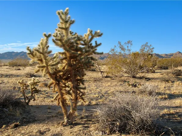 000 Cobalt Rd, Joshua Tree, CA 92252