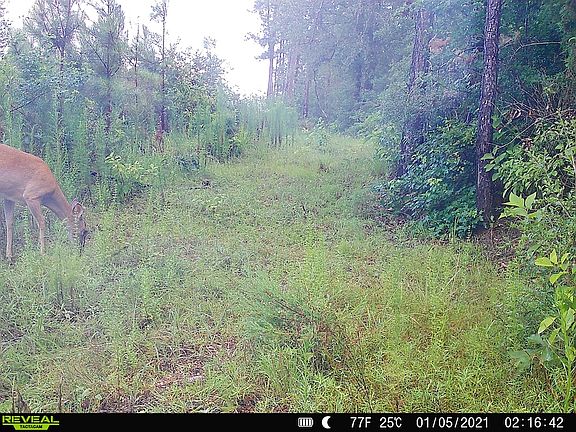 5th image of 485 Private Road 5475