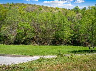 891 Bushy Head Rd, Cherry Log, GA 30522