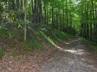 Persimmons Ln, Burnsville, NC 28714