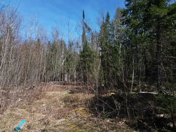 45 Spruce Lane, Glenburn, ME 04401