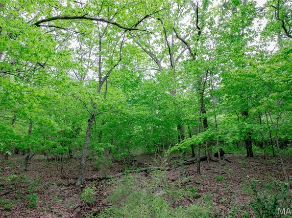 0 Highway 221 St, Ironton, MO 63650