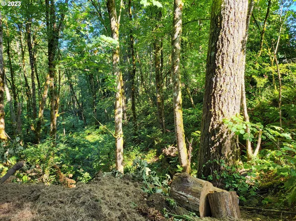 Hillcrest Dr, Scappoose, OR 97056