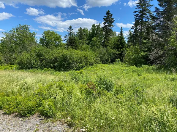 10-5 Carriage Way, Pembroke, ME 04666