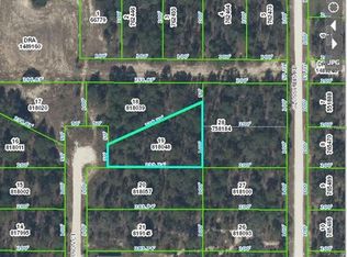 Barron Ct, WEEKI WACHEE, FL 34614